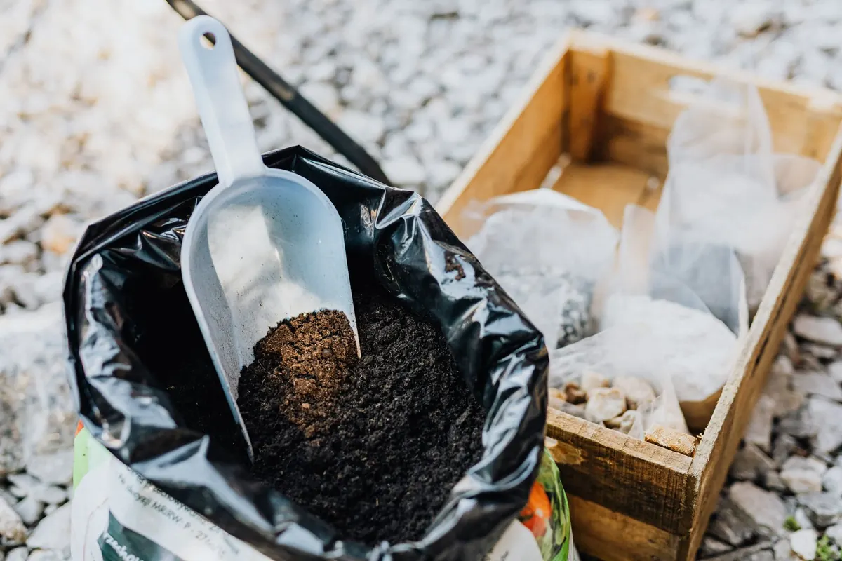 Seed Compost vs Multi-Purpose Compost: Which to Use for Pots?